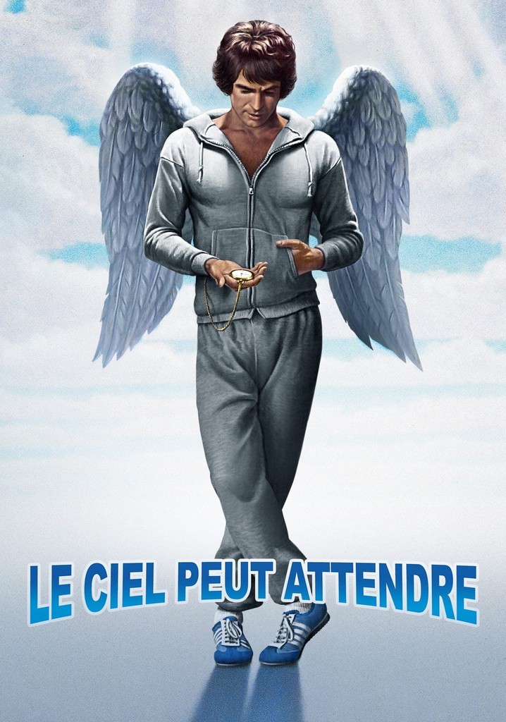 Regarder Le ciel peut attendre en streaming complet